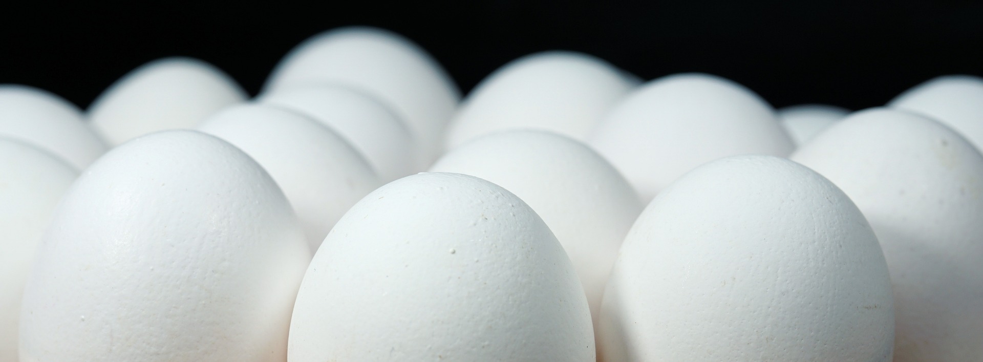 对未来无笼养殖的承诺，目前对鸡蛋生产商来说是一种打击