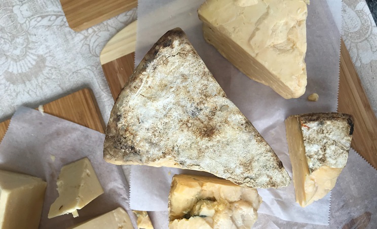 切达干酪cotija,提供新鲜奶酪的见解