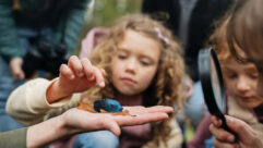 年轻女孩在群学生小心翼翼地触摸一个蓝色的大昆虫的一些游客他老师的文章以游戏为主的教育